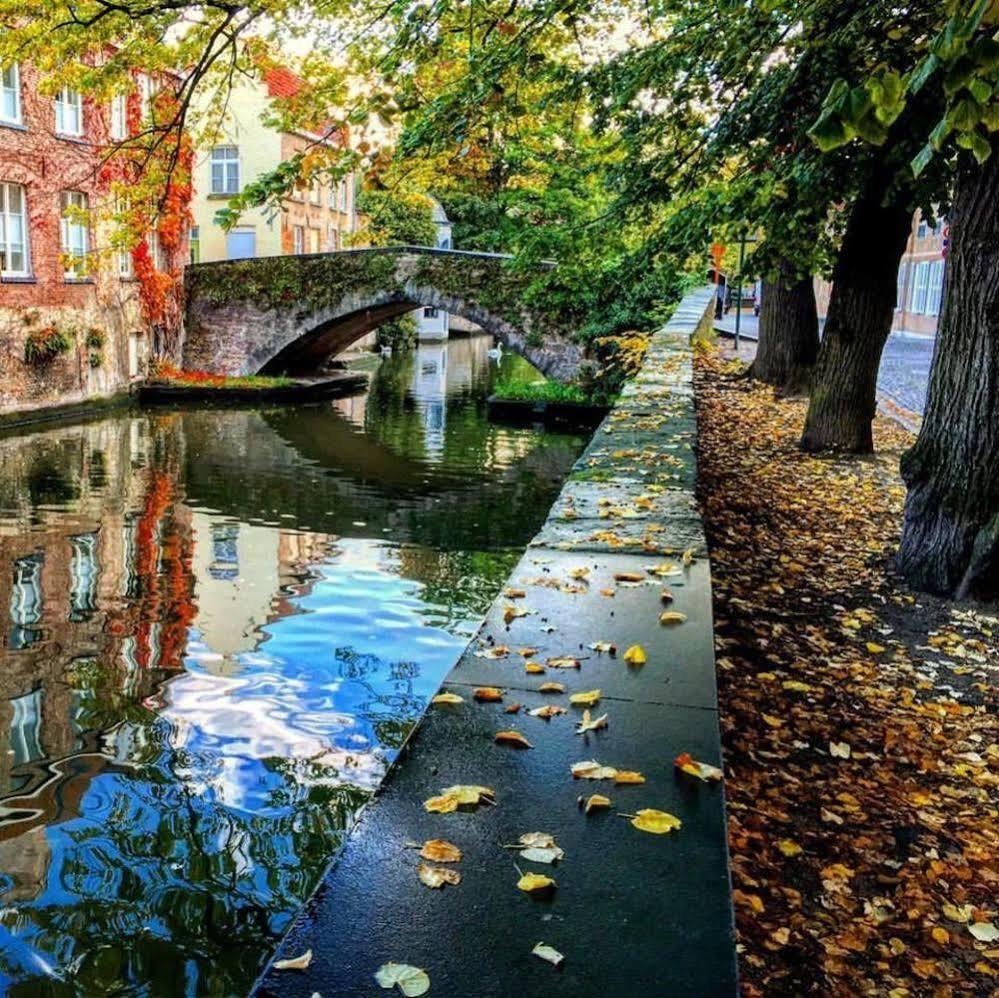 Guesthouse Dijver - Serene Escape In The Heart Of Historic Bruges Exterior photo